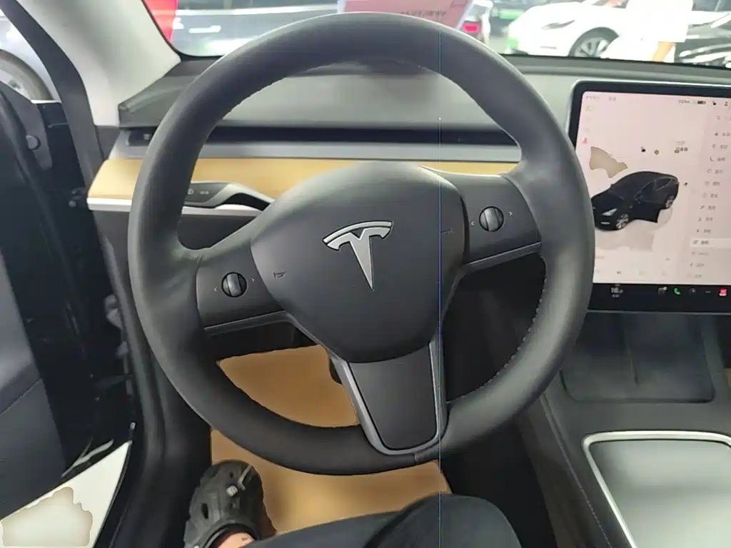 Tesla Model Y — миниатюра 11