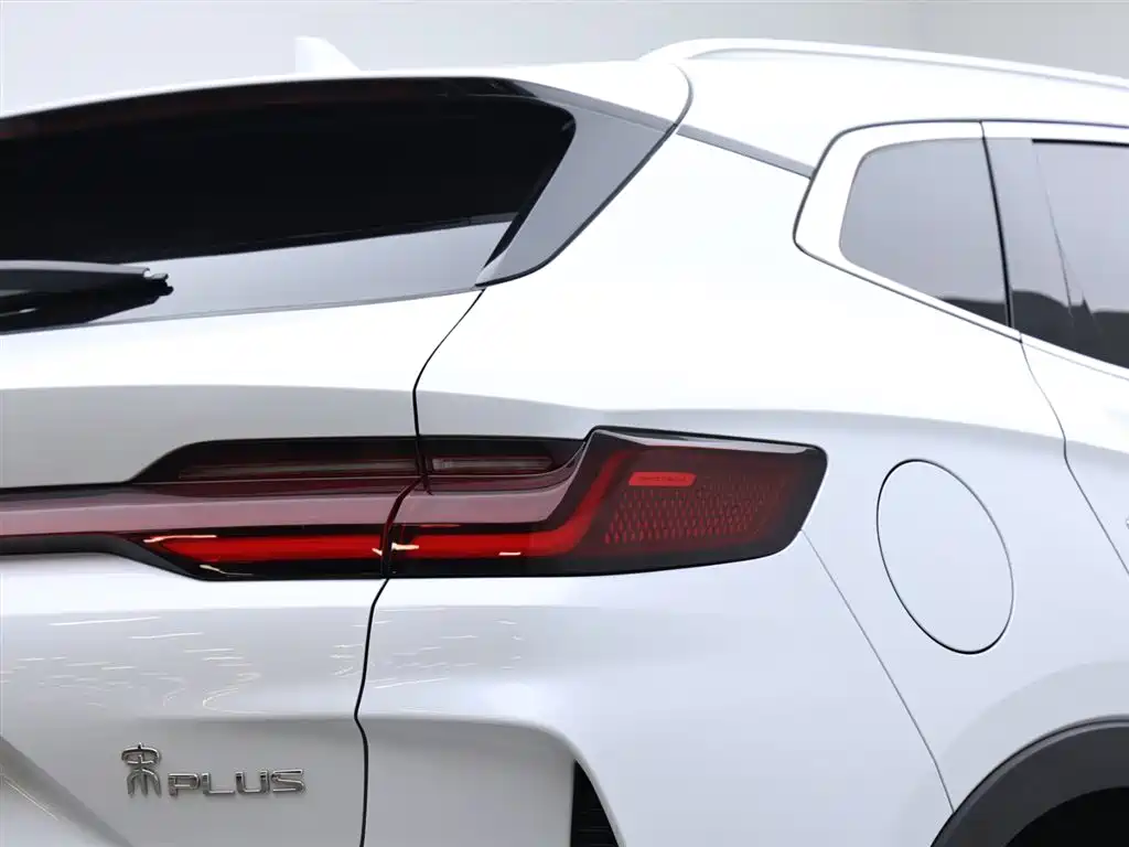 BYD SONGJIANG NEW ENERGY