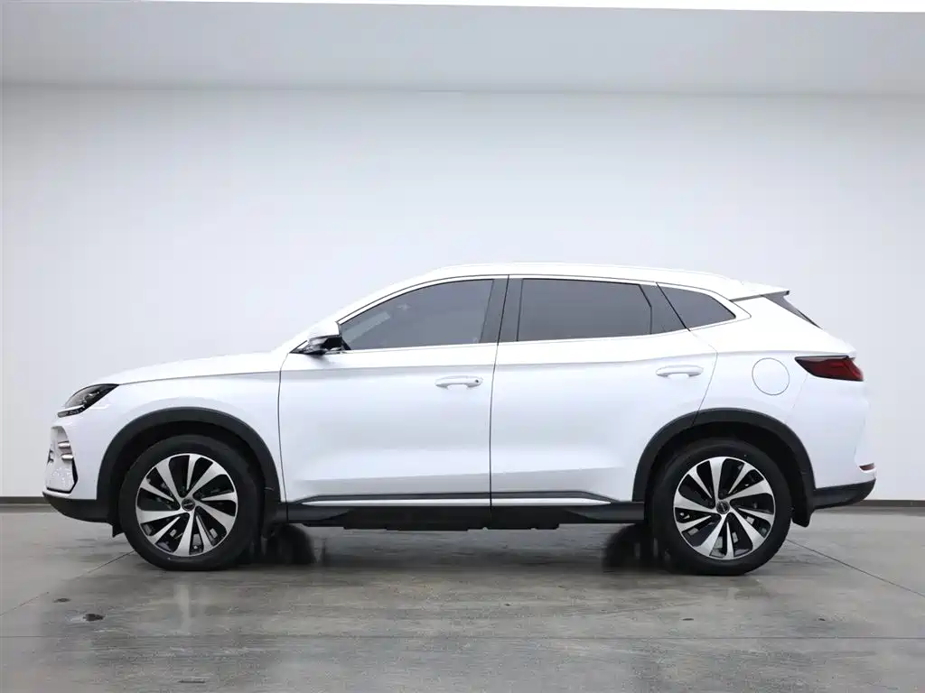 BYD SONGJIANG NEW ENERGY