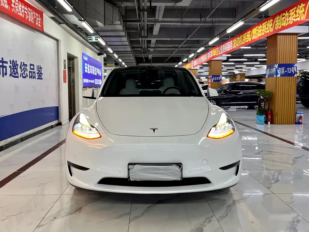 TESLA MODEL Y