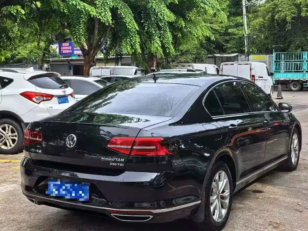 Volkswagen Magotan 2019 330TSI DSG Luxury VI