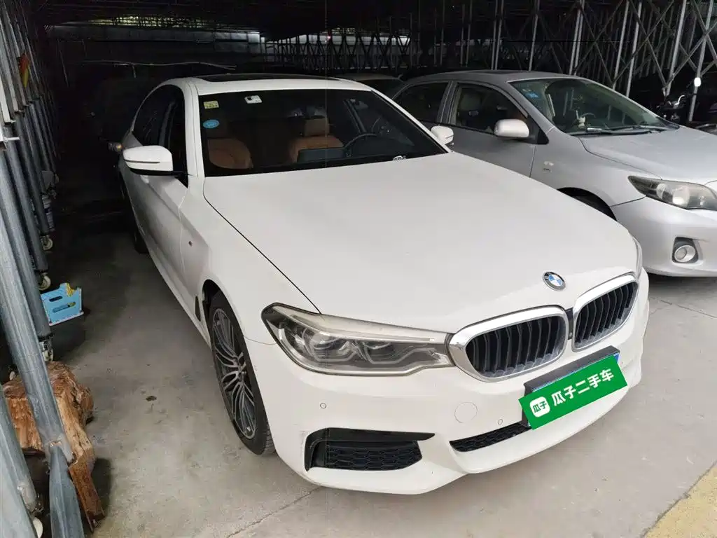 BMW 5 Series 5 2019 530i M Sport