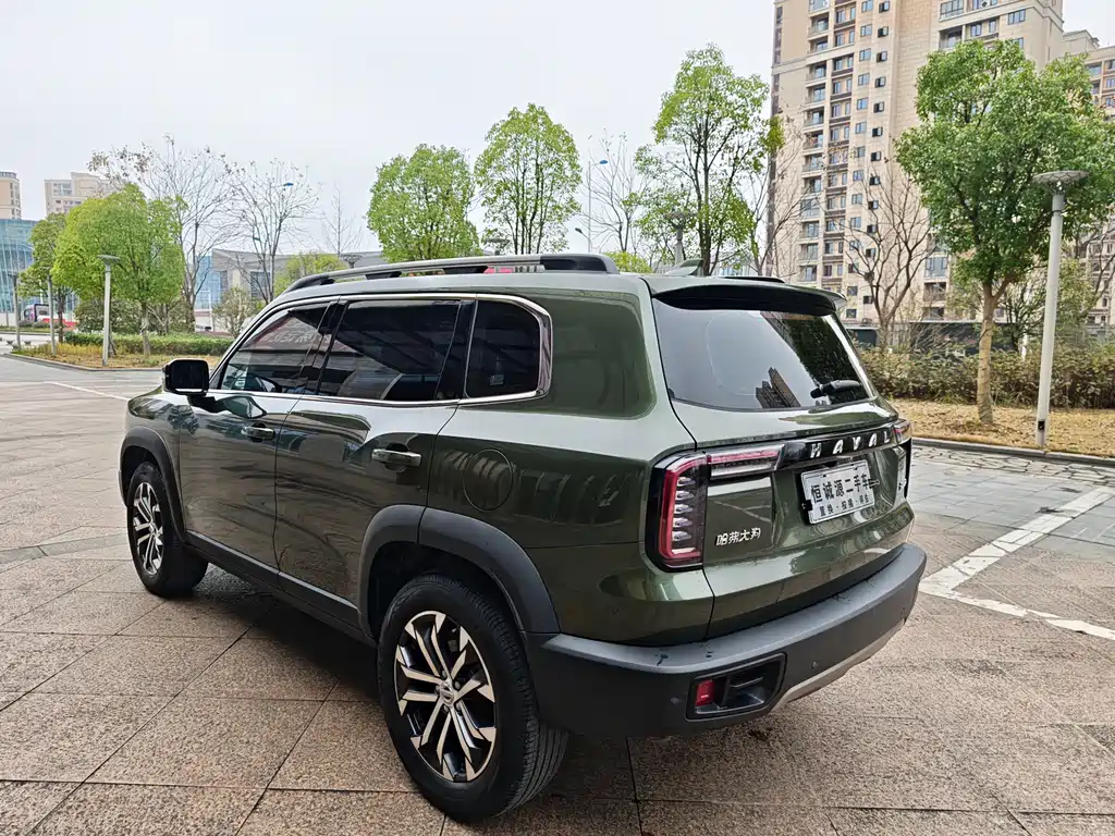 HAVAL BIG DOG