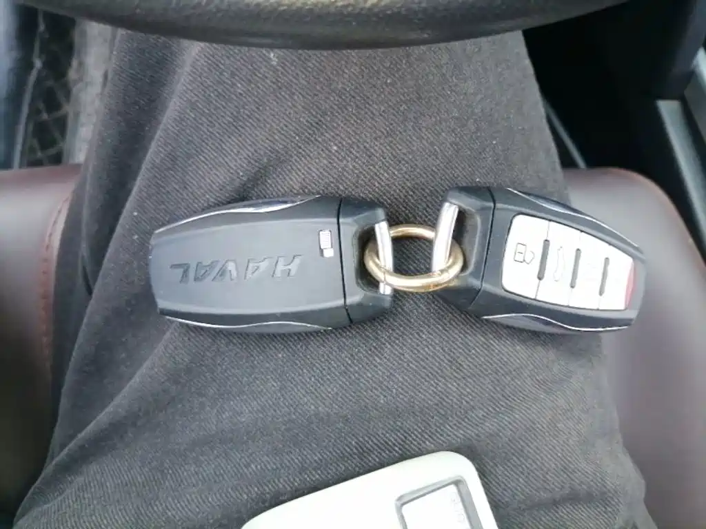 Haval H6 — миниатюра 13