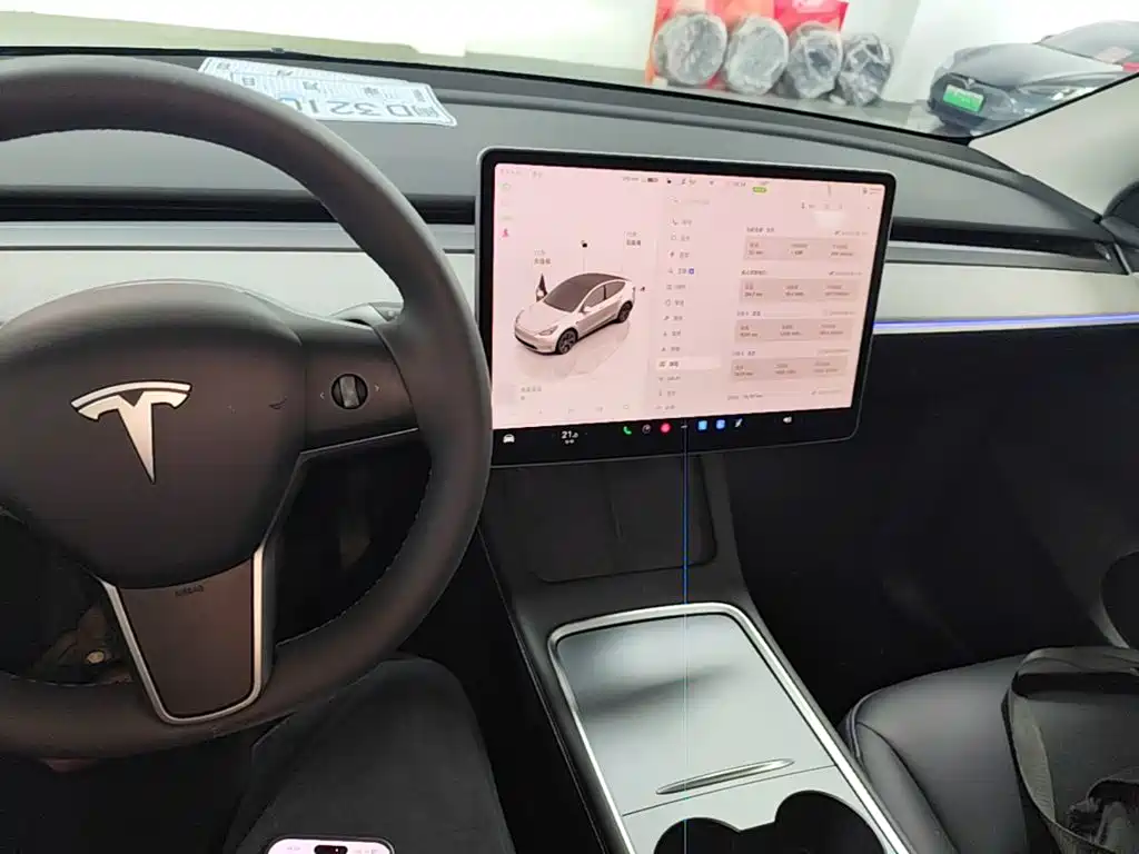 Tesla Model Y — миниатюра 10