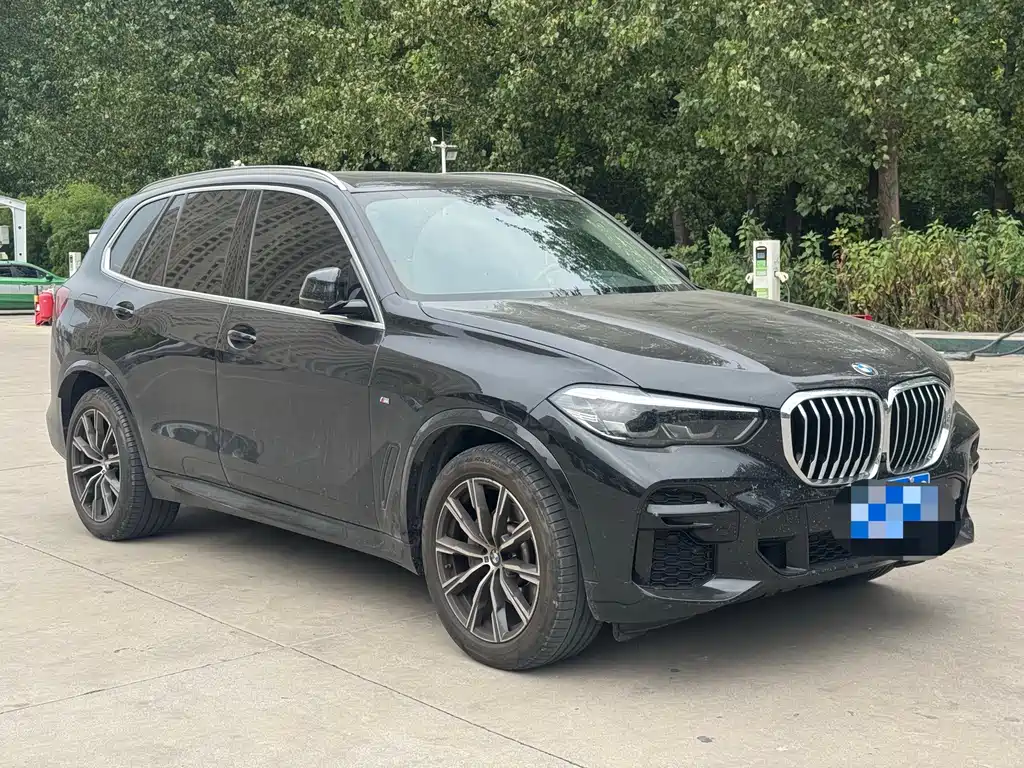 BMW X5 (Import) — миниатюра 3