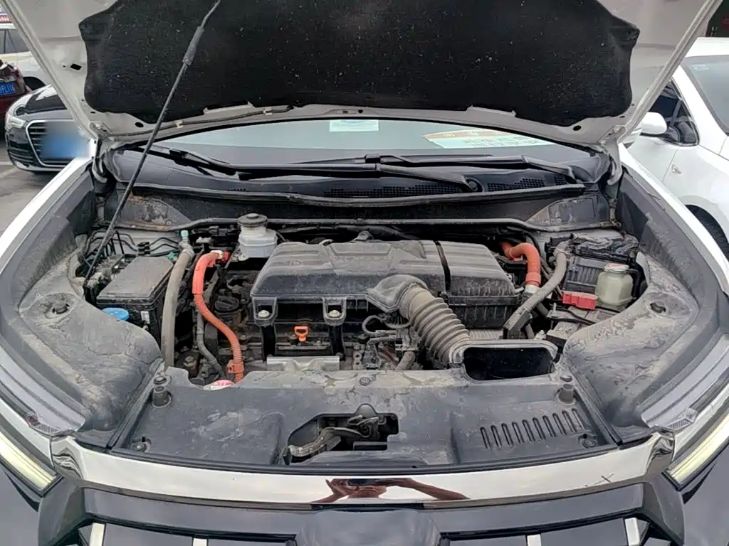 Honda Elysion — миниатюра 20