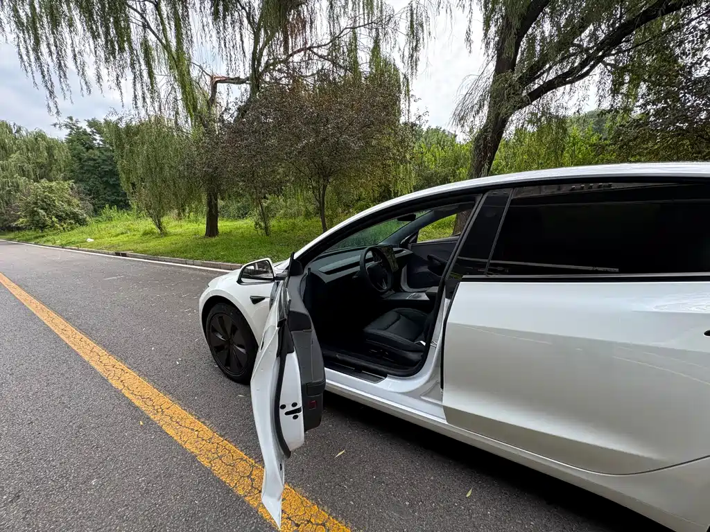 Tesla Model 3 — миниатюра 11
