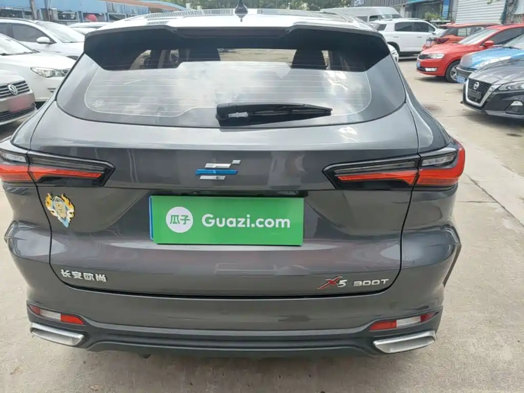 Oshan Oushang X5 — миниатюра 6
