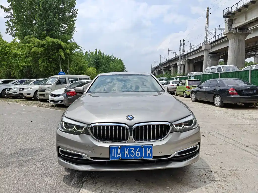 BMW 5 Series 5 2019 530Li Lead Luxury