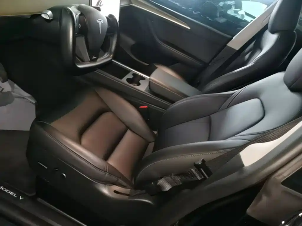 Tesla Model Y — миниатюра 15