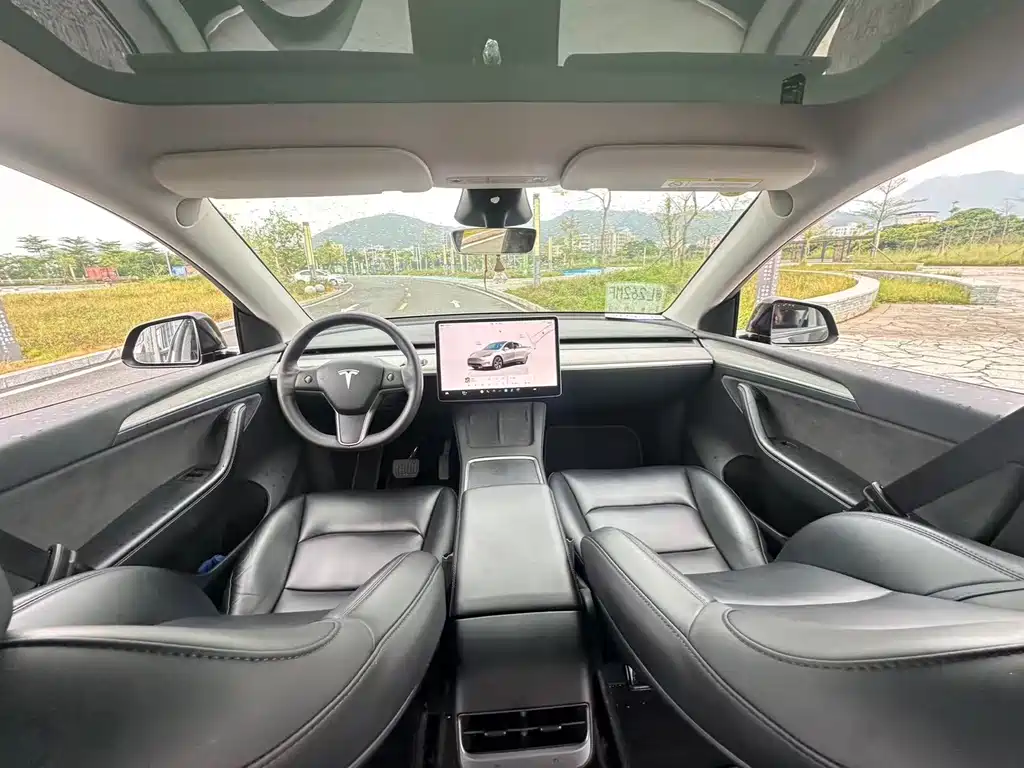 Tesla Model Y — миниатюра 25