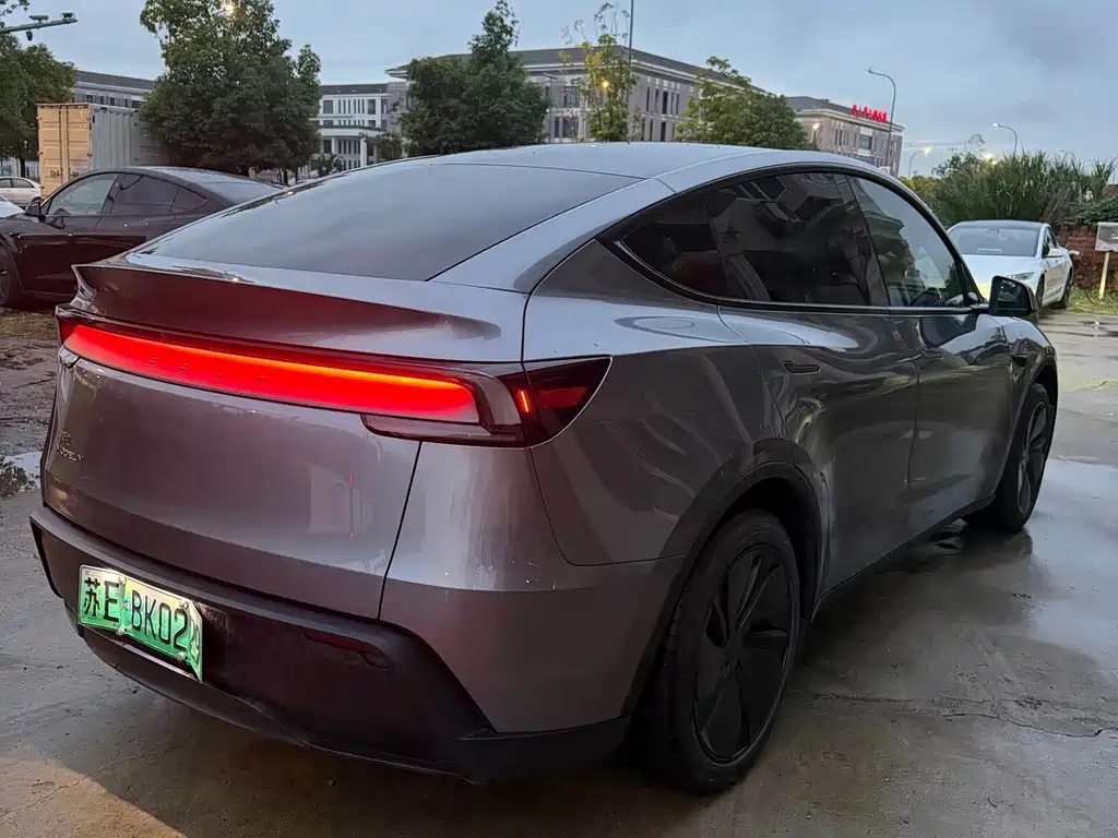 Tesla Model Y — миниатюра 5