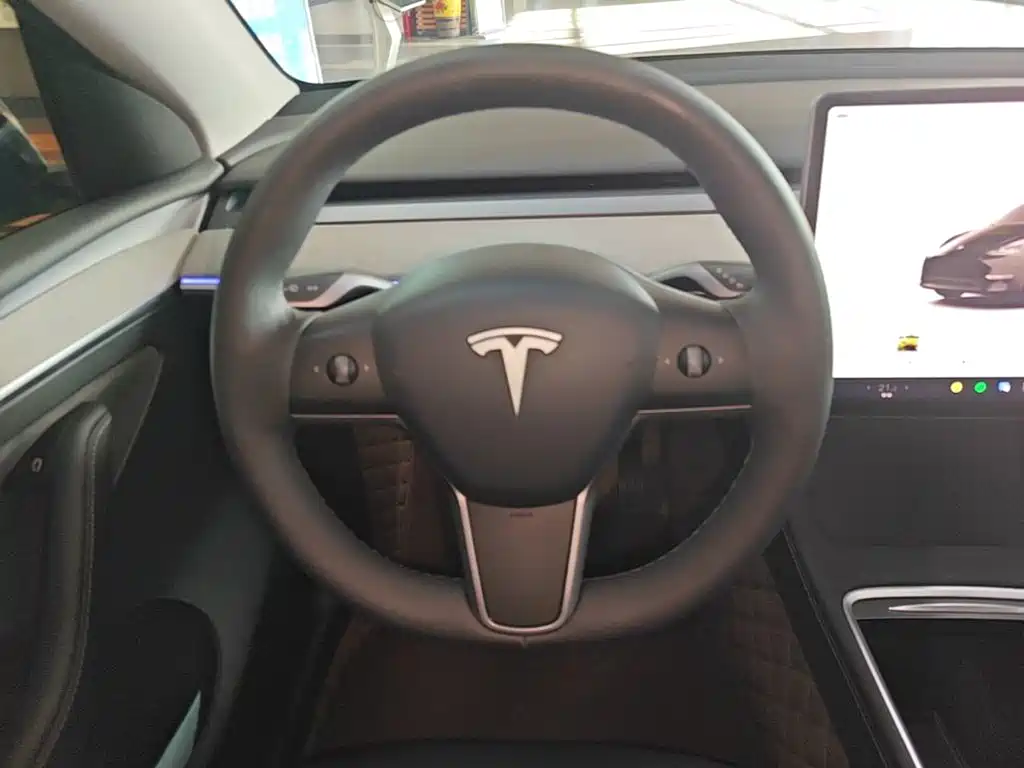 Tesla Model Y — миниатюра 11