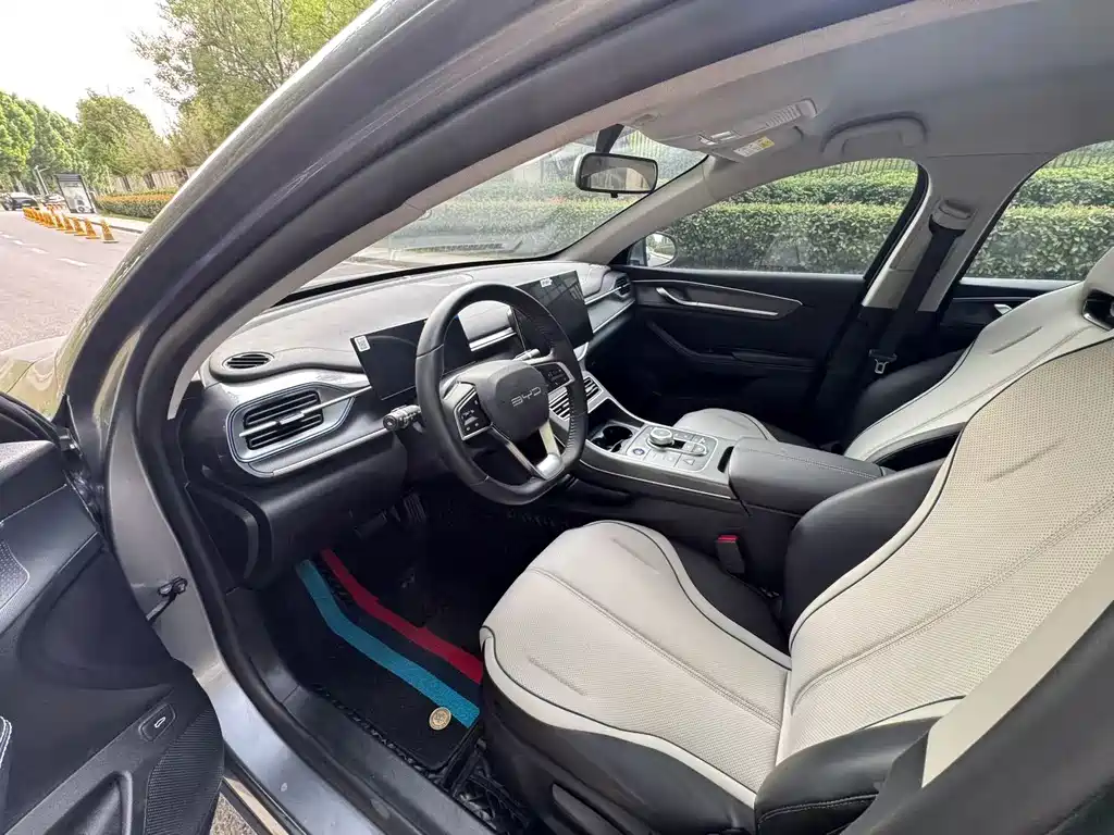 BYD Destroyer 05 2024 DM-i 55KM Luxury
