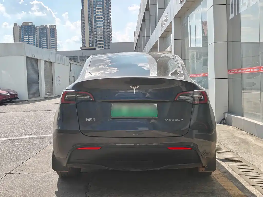 Tesla Model Y — миниатюра 4