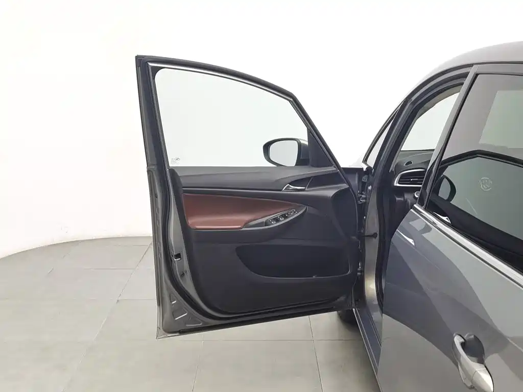 Buick GL6 — миниатюра 8