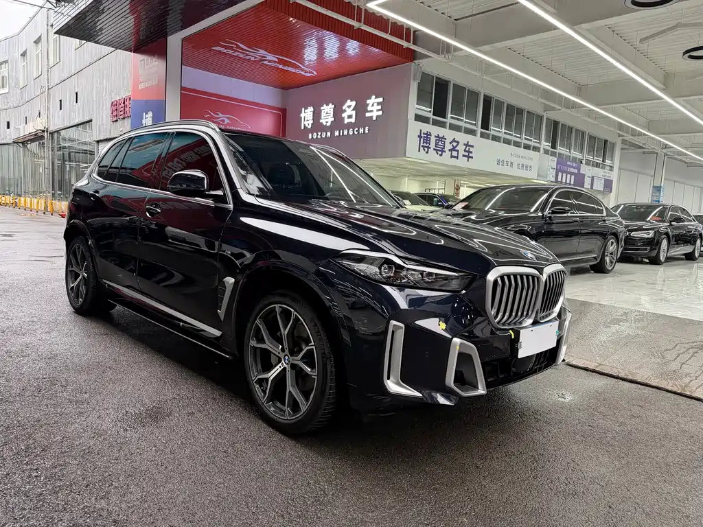 BMW X5 — миниатюра 3