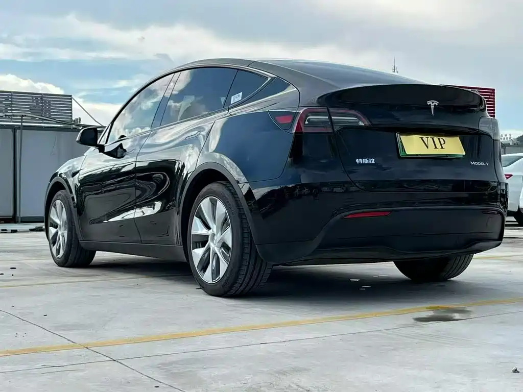 Tesla Model Y — миниатюра 7