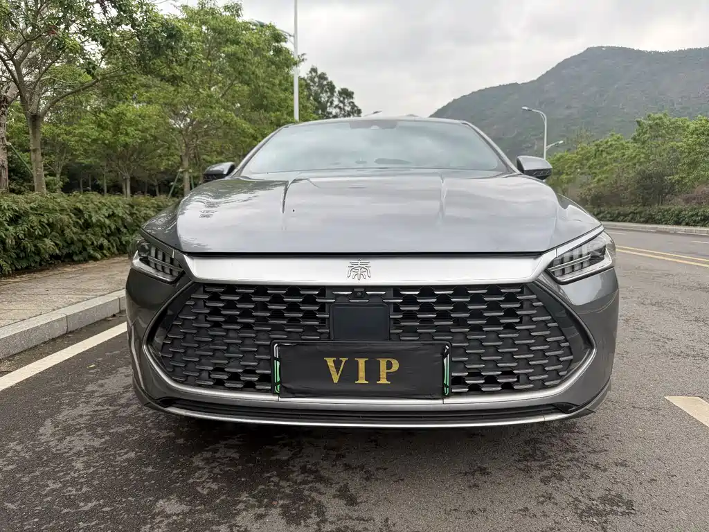 BYD Qin Plus PLUS 2021 DM-i 120KM Flagship