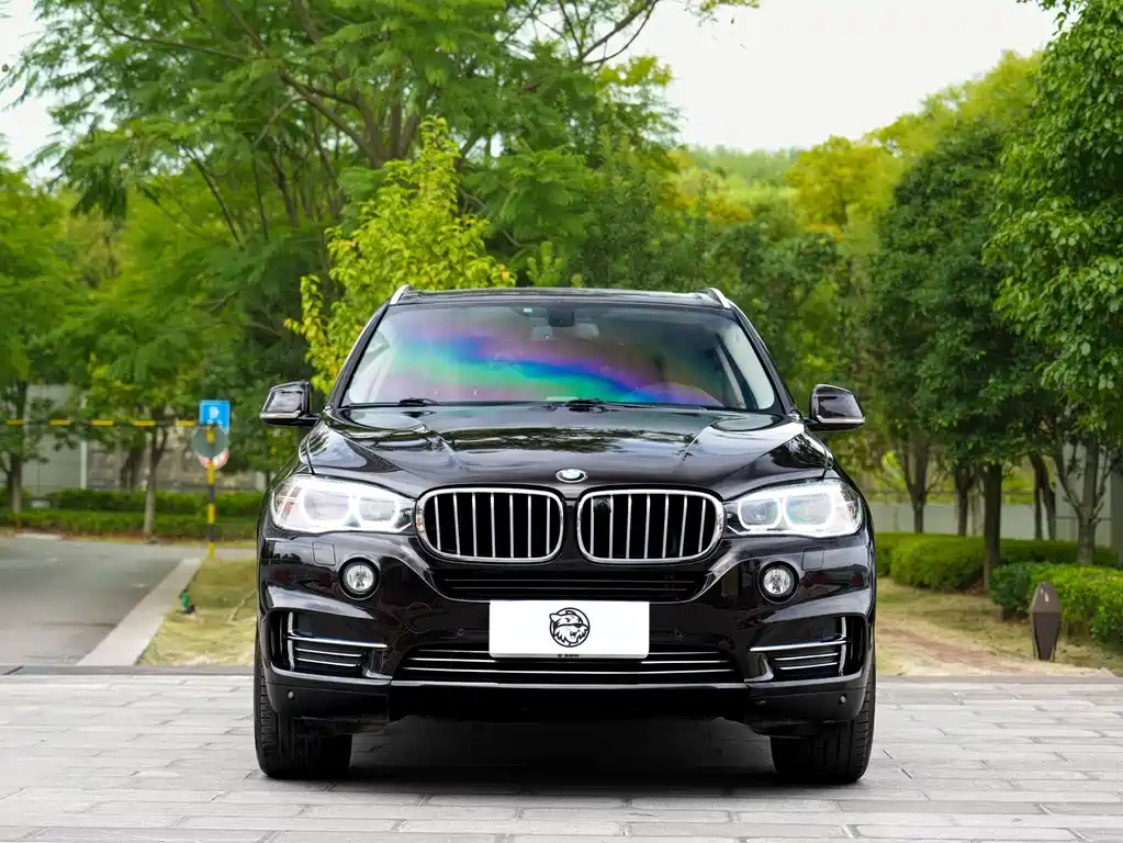 BMW X5 (Import) — миниатюра 2