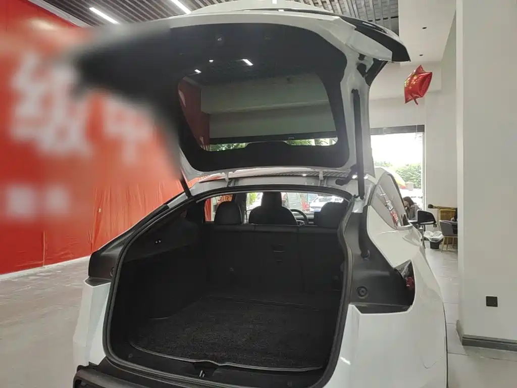 Tesla Model Y — миниатюра 19