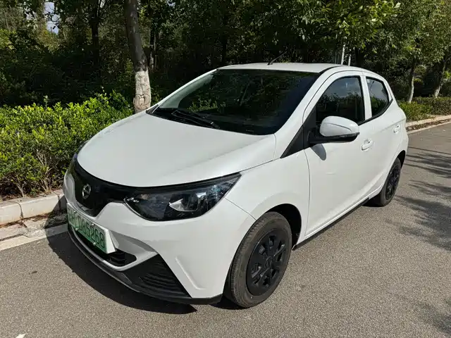 JIANGLING GROUP NEW ENERGY LITTLE UNICORN 2024