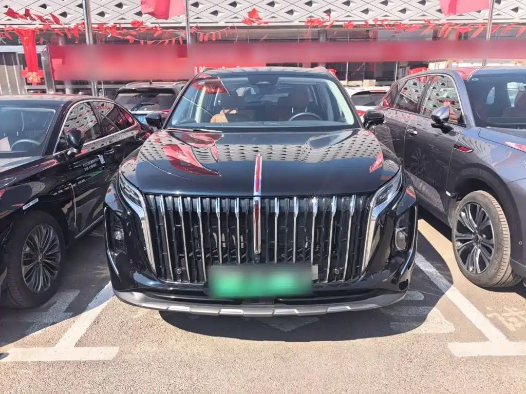 Hongqi Hongqi HS7 PHEV — миниатюра 6