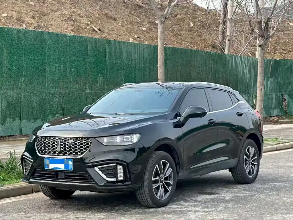 WEI PAI WEI BRAND VV5