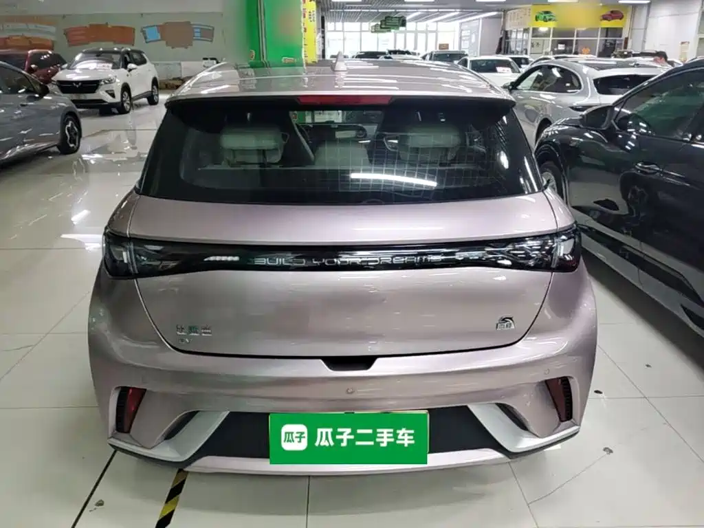 BYD Dolphin — миниатюра 6
