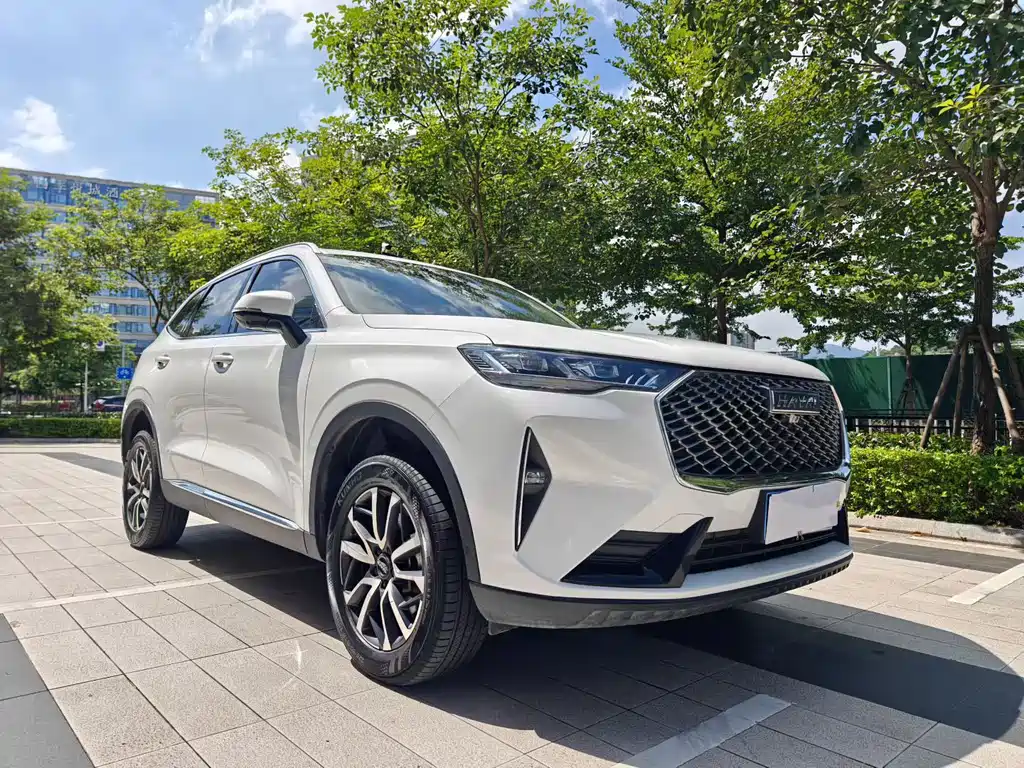 Haval H6 — миниатюра 3