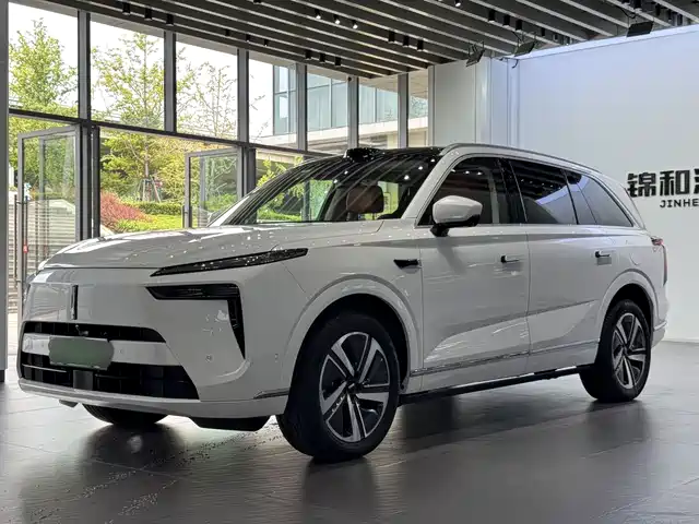 WEI PAI WEI BRAND BLUE MOUNTAIN 2024