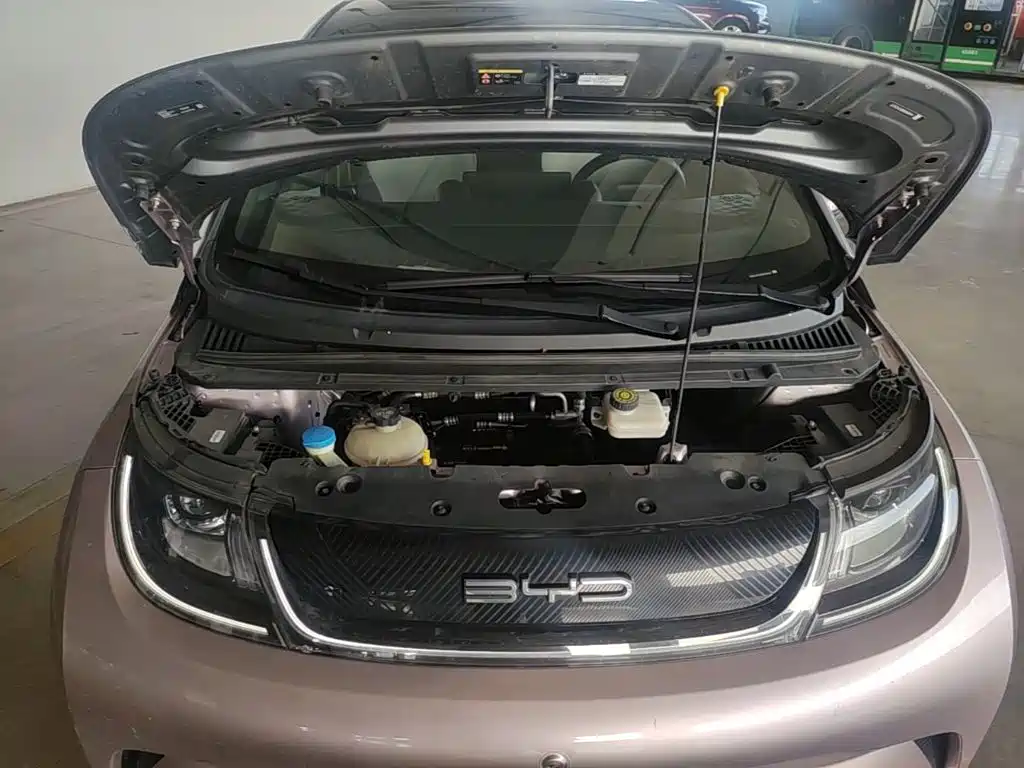 BYD Dolphin — миниатюра 23