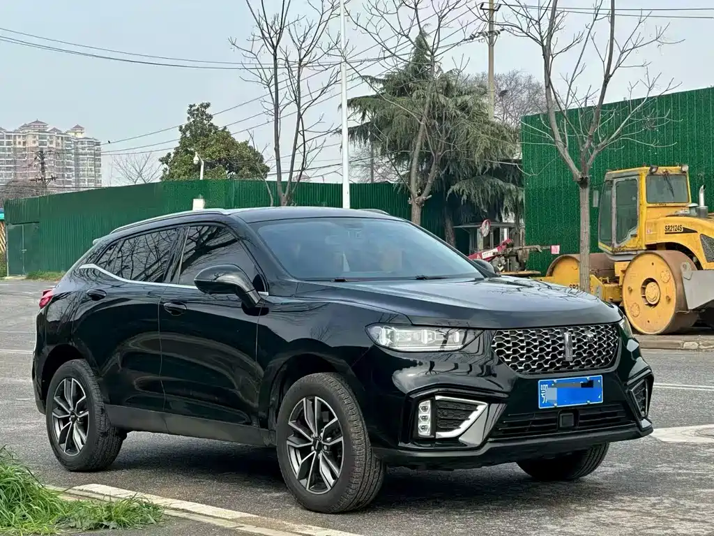 WEI PAI WEI BRAND VV5