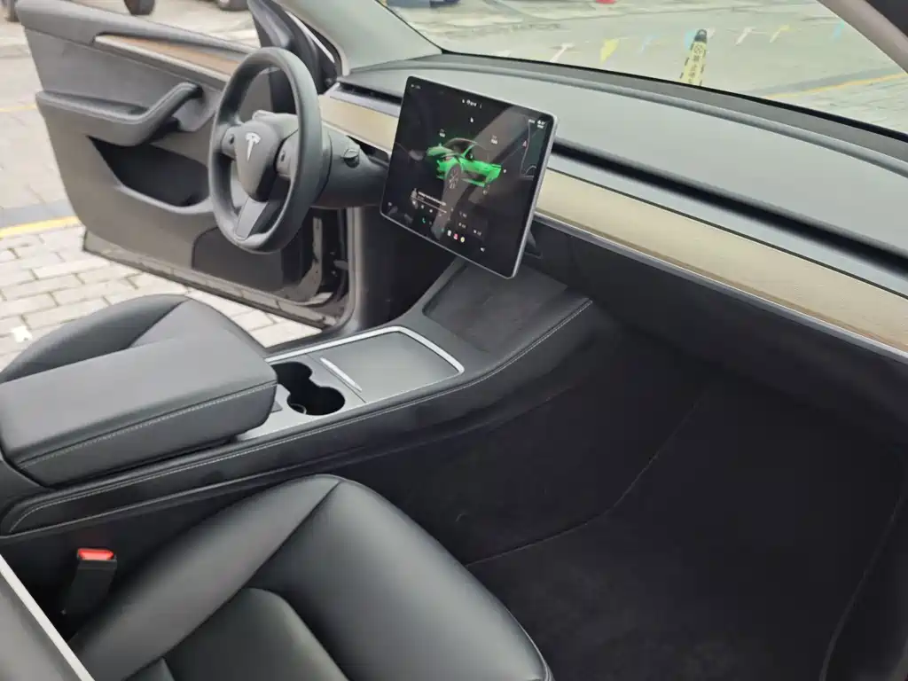 Tesla Model Y — миниатюра 10