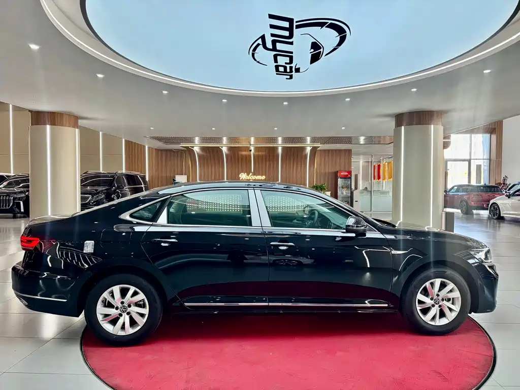 VOLKSWAGEN PASSAT NEW ENERGY