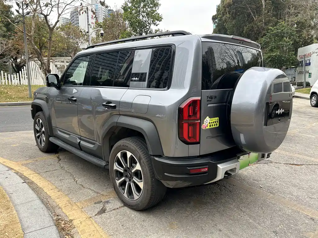 FANG CHENG BAO LEOPARD 5