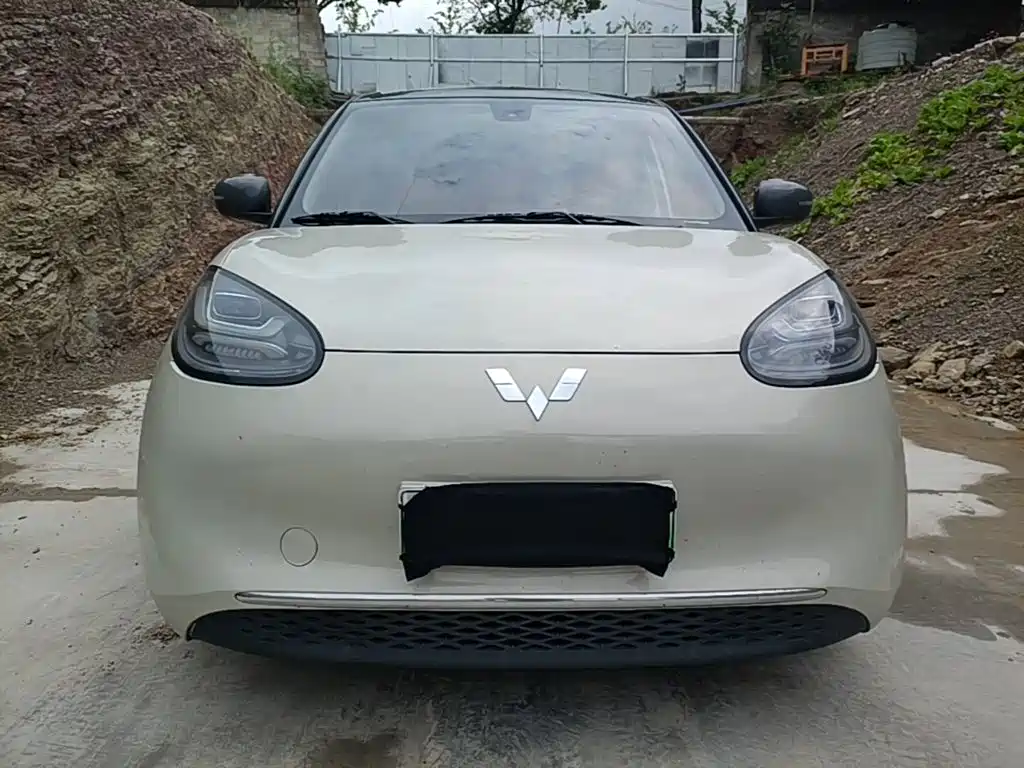 Wuling Binguo 2023 333km +