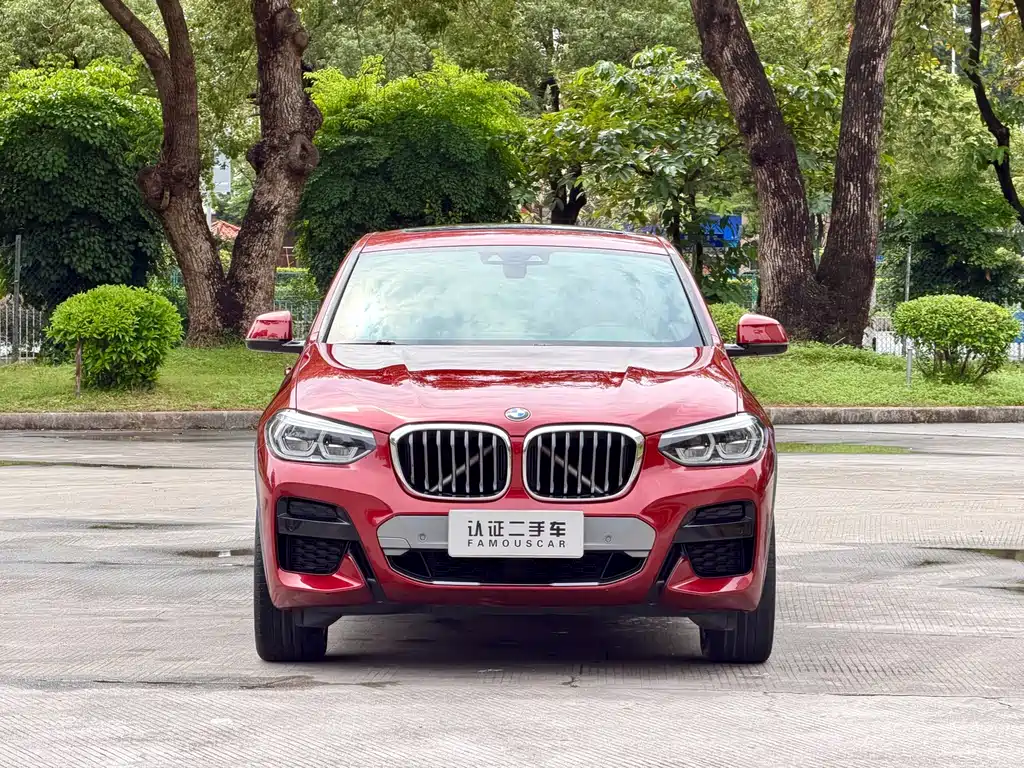 BMW X4 — миниатюра 2