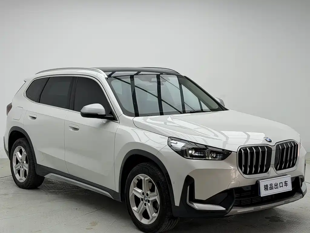 BMW X1 2023 sDrive20Li X
