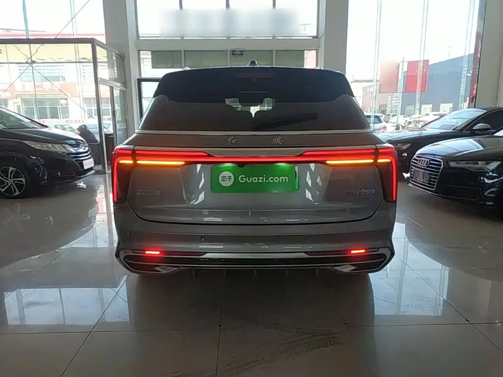 Hongqi Hongqi E-HS9 — миниатюра 6