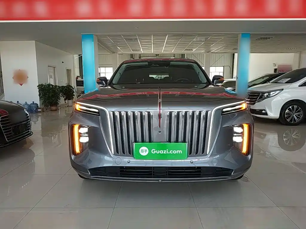 Hongqi Hongqi E-HS9 — миниатюра 3