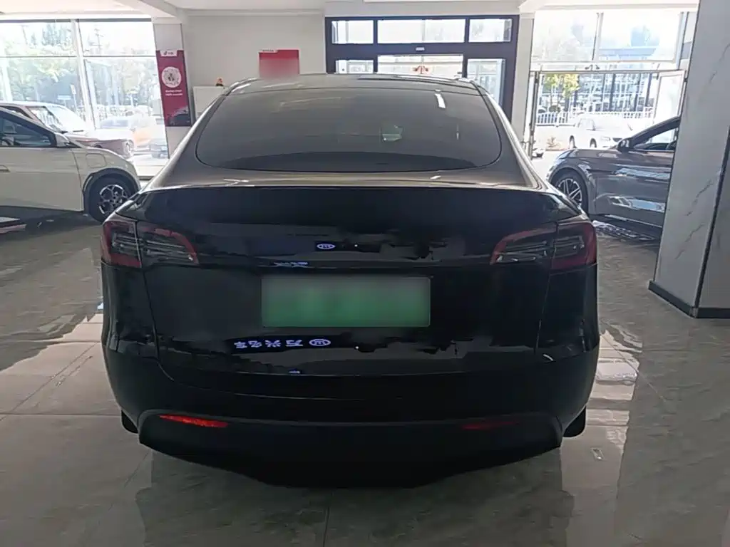 Tesla Model Y — миниатюра 6