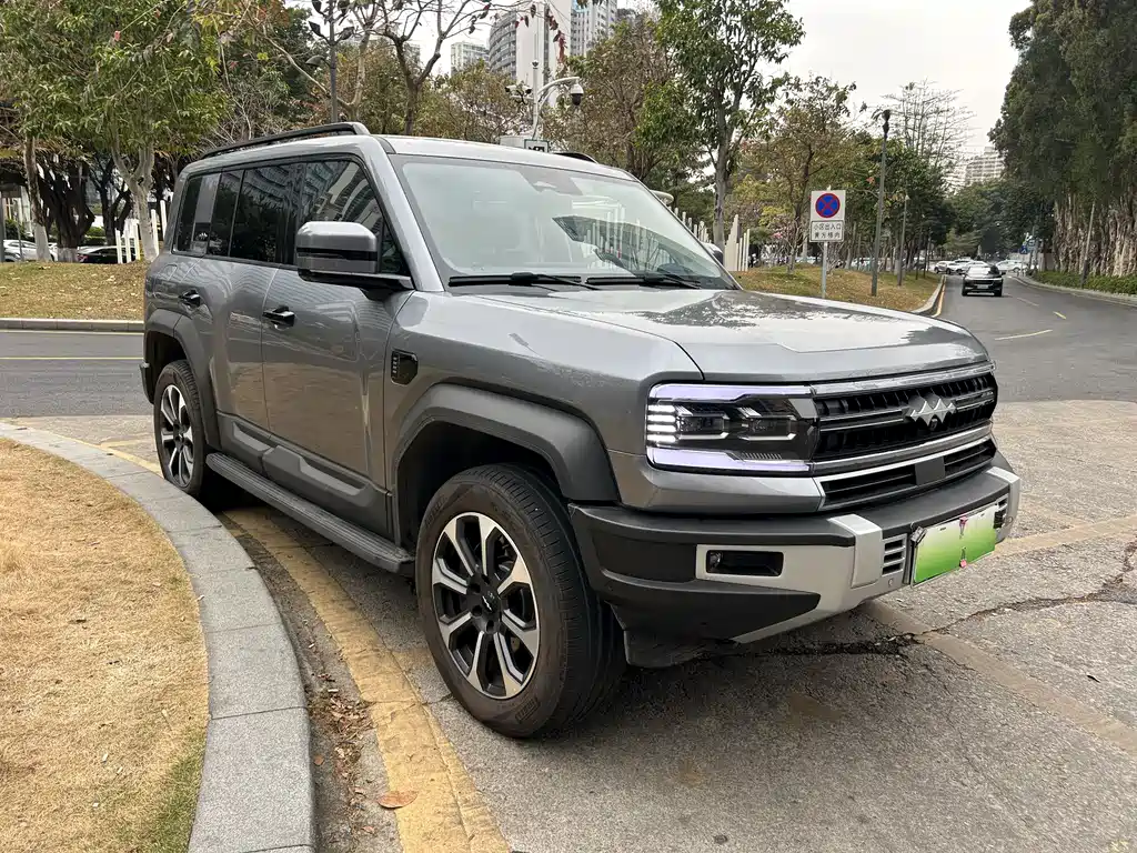 FANG CHENG BAO LEOPARD 5