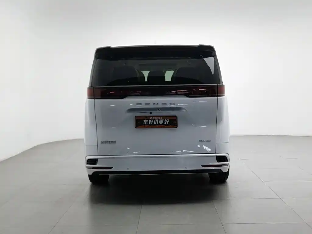 Denza Denza D9 — миниатюра 4