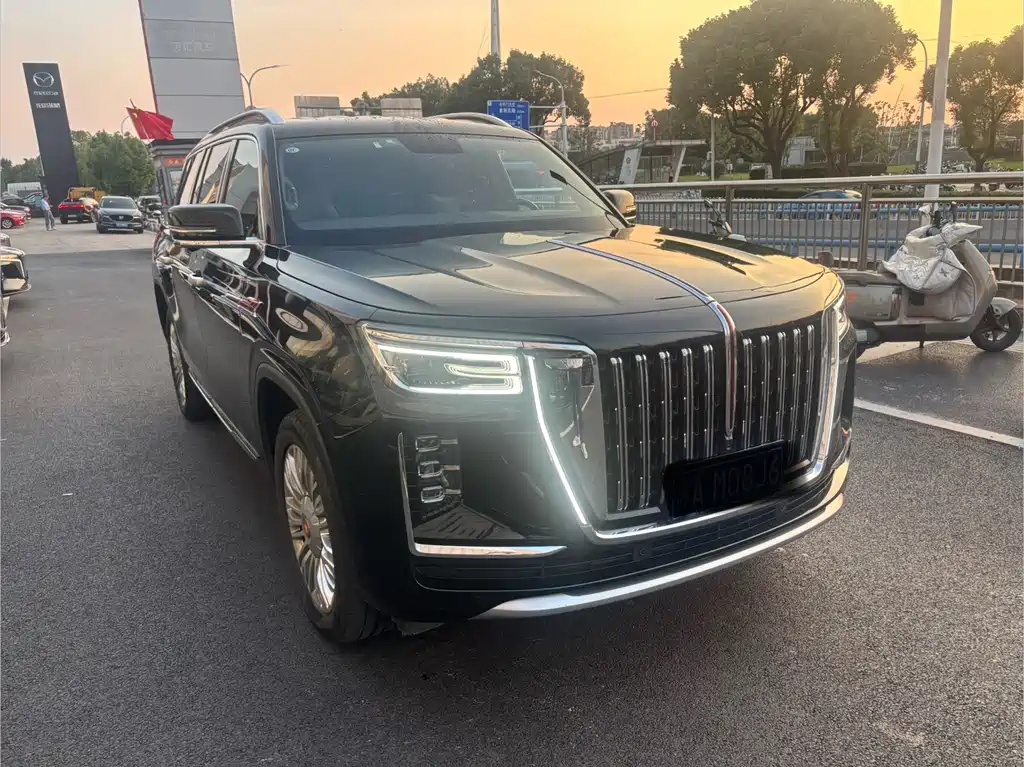 Hongqi Hongqi Golden Sunflower Guoyao — миниатюра 3