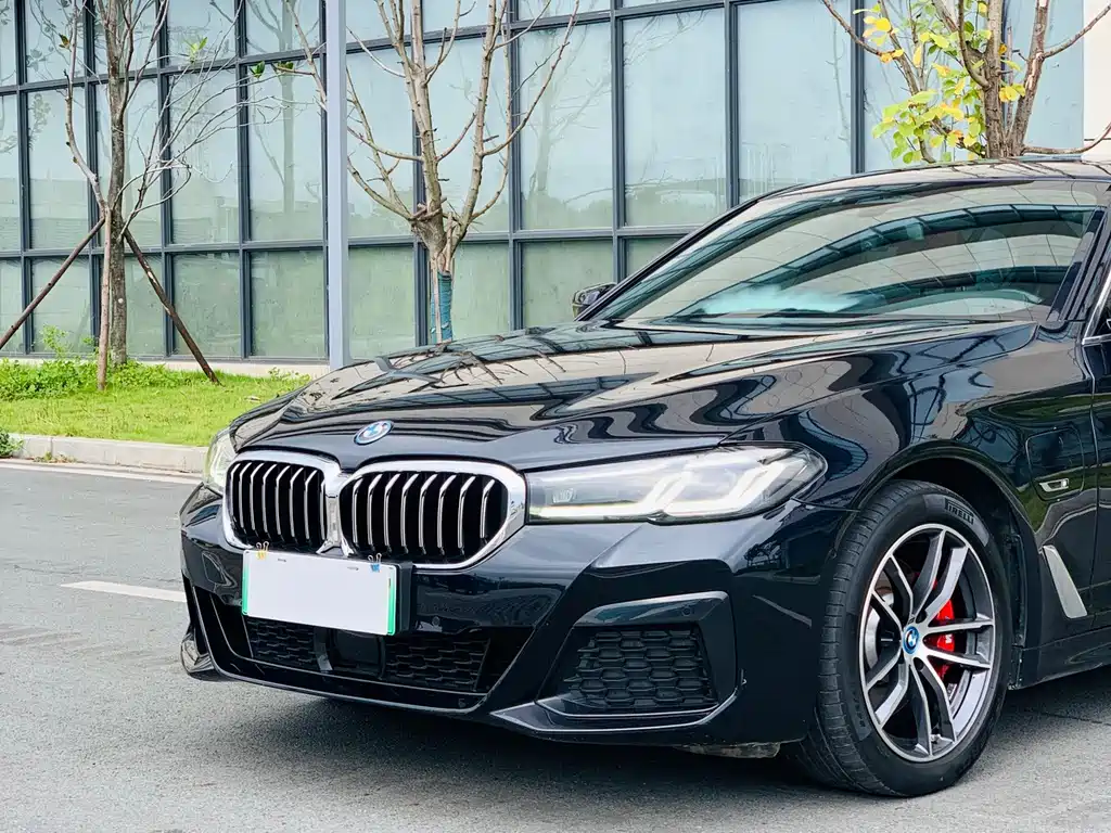 BMW 5 Series New Energy — миниатюра 4