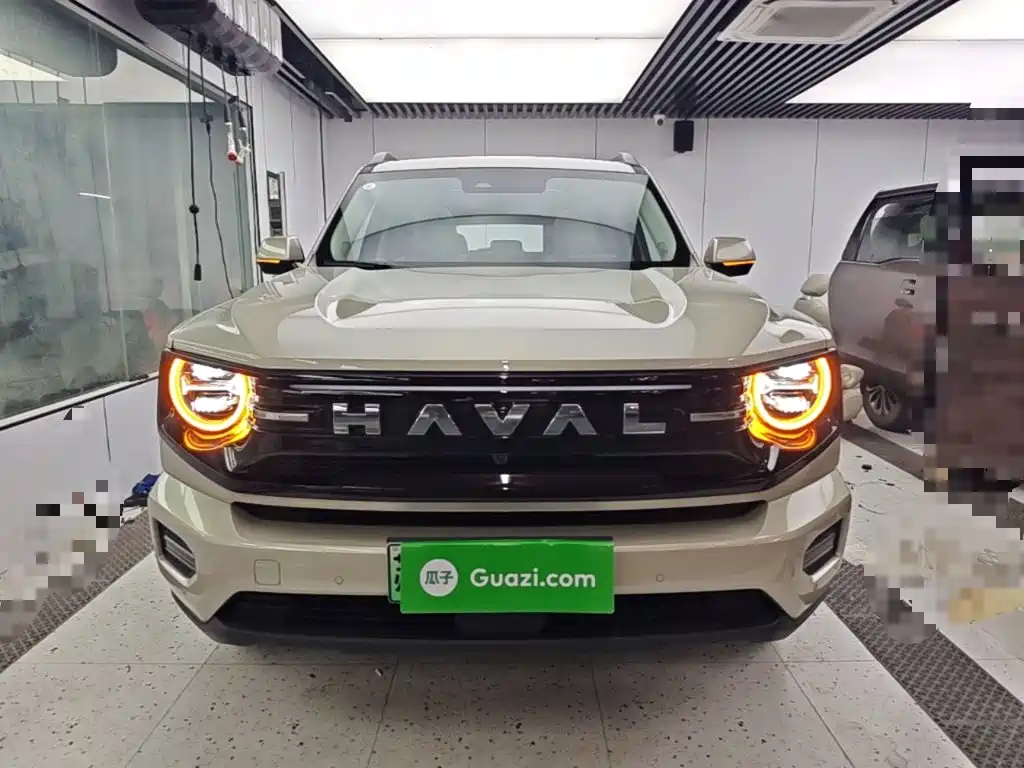 Haval Big Dog PLUS New Energy — миниатюра 3