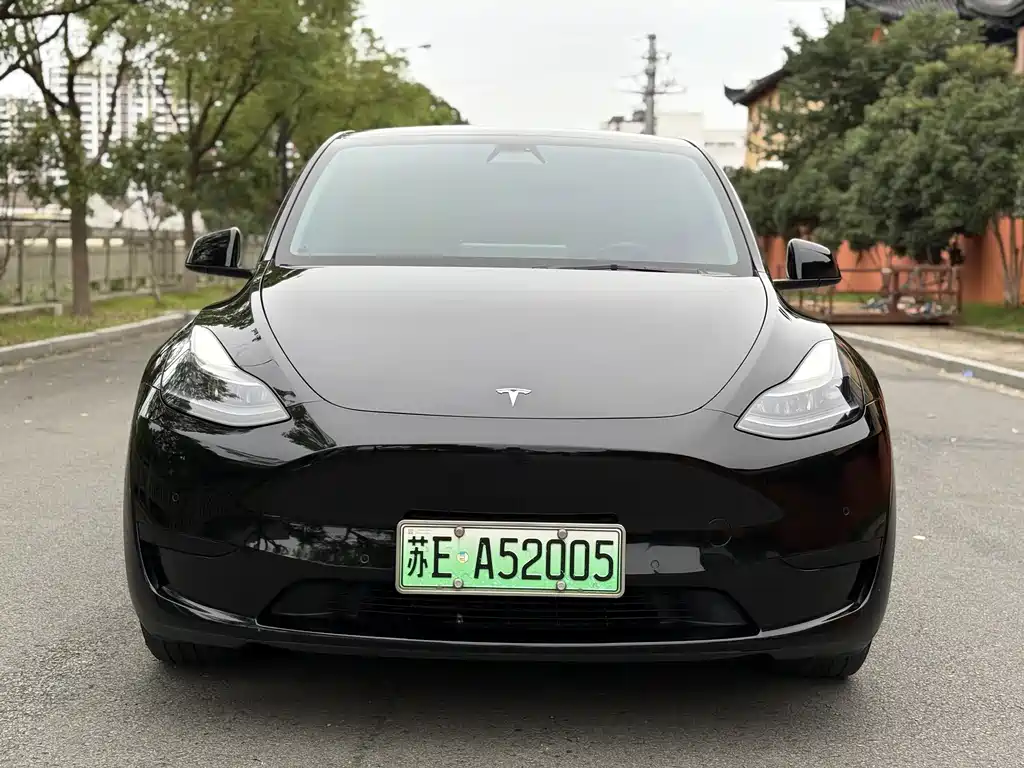 Tesla Model Y — миниатюра 2