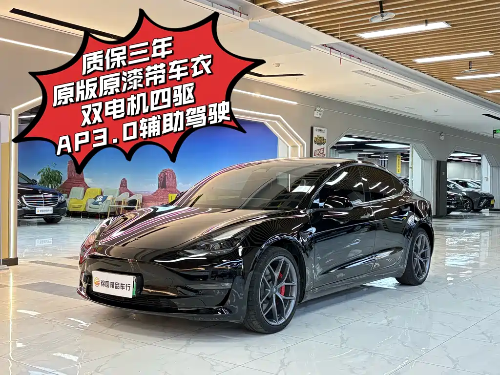 Tesla Model 3 2022
